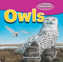 Owls (I Love Animals)