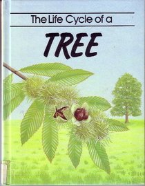 The Life Cycle of a Tree: John Williams ; Illustrated by Jackie Harland (Life Cycles)