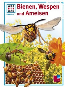 Was ist was?, Bd.19, Wunderwelt der Bienen und Ameisen