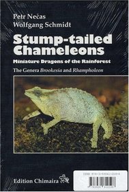 Stump-tailed Chameleons: Miniature Dragons of the Rainforest