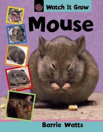 Mouse (Watch It Grow)