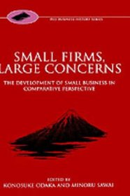 Small Firms, Large Concerns: The Development of Small Business in Comparative Perspective (Fuji Conference Series III)