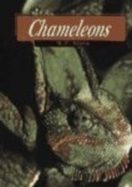 Chameleons (Exotic Lizards)