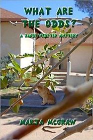 What Are the Odds?: A Sandi Webster Mystery (The Sandi Webster Mysteries) (Volume 7)