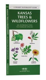 Kansas Trees & Wildflowers: An Introduction to Familiar Species (A Pocket Naturalist Guide)