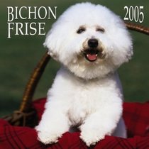 Bichon Frise 2005 Wall Calendar