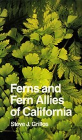 Ferns and Fern Allies of California (California Natural History Guides (Paperback))