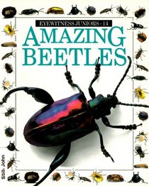 AMAZING BEETLES #14 (Eyewitness Juniors)