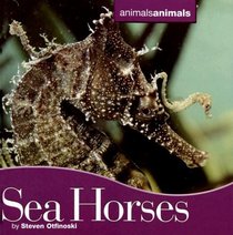 Seahorses (Animals Animals)