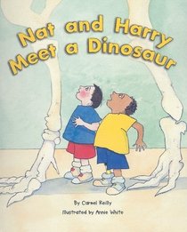 Nat and Harry Meet a Dinosaur (Rigby Flying Colors: Orange Level)