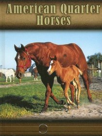 American Quarter Horses (Eye to Eye With Horses)