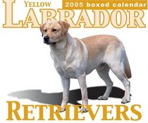 Yellow Labrador Retrievers 2005 Boxed Calendar