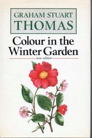 Colour in the Winter Garden