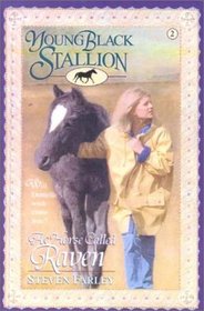 A Horse Called Raven (Young Black Stallion, Bk 2)