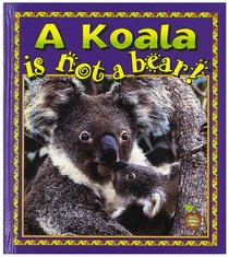 The Koala Is Not a Bear! (Crabapples)