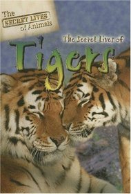 The Secret Lives of Tigers (The Secret Lives of Animals)