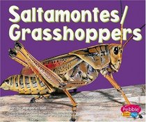 Saltamontes/Grasshoppers (Pebble Plus Bilingual) (Spanish Edition)