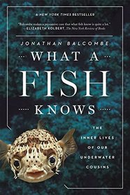 What a Fish Knows: The Inner Lives of Our Underwater Cousins