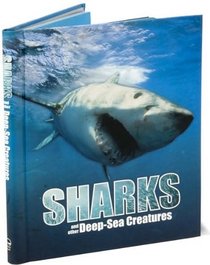 Sharks and Other Deep Sea Creatures