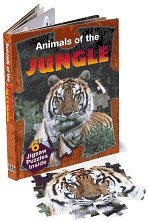 Animals of the Jungle