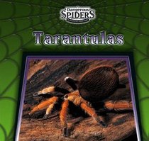 Tarantulas (Dangerous Spiders)