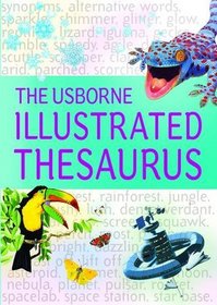 The Usborne Illustrated Dictionary & Thesaurus. Jane Bingham and Fiona Chandler (Usborne Illustrated Dictionaries)