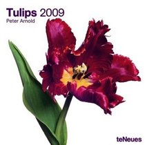 2009 Tulips Wall Calendar (Grid Calendar)