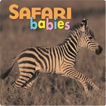 Safari Babies (Animal Babies (Chanhassen, Minn.).)