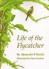 Life of the Flycatcher (Animal Natural History Series, Vol 3)