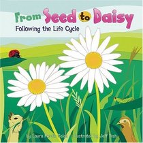 From Seed to Daisy: Following the Life Cycle (Amazing Science)