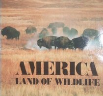 America: Land of Wildlife