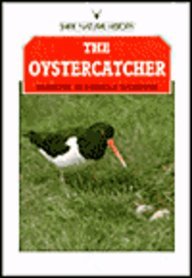 The Oystercatcher (Shire natural history)