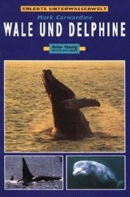 Erlebte Unterwasserwelt. Wale und Delphine.