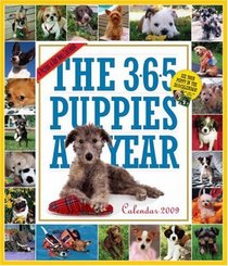 The 365 Puppies-A-Year Calendar 2009 (Picture-A-Day Wall Calendars)