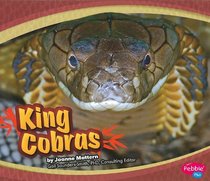 King Cobras (Asian Animals) (Pebble Plus)