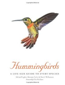 Hummingbirds: A Life-Size Guide to Every Species