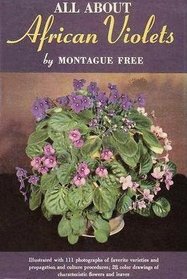 All About African Violets