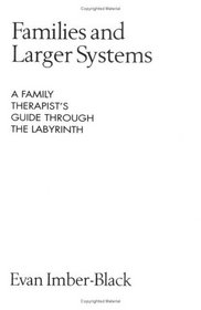 Families and Larger Systems: A Family Therapist's Guide through the Labyrinth