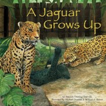 A Jaguar Grows Up (Wild Animals)
