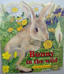 Bunny in the Wild (A Lift-the-flap Book)