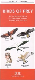 Birds of Prey: An Introduction to North American Hawks  Owls