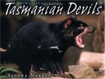 Tasmanian Devils (Animal Scavengers)