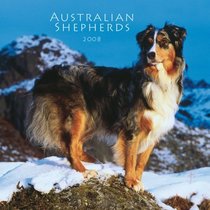 Australian Shepherds 2008 Square Wall Calendar (German, French, Spanish and English Edition)