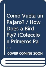 Como Vuela Un Pajaro?