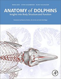 Anatomy of Dolphins: Insights into Body Structure and Function