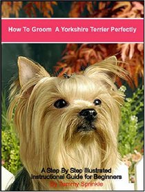 How to Groom a Yorkshire Terrier Perfectly: A Step by Step Illustrated Guide for Grooming Your Yorkshire Terrier