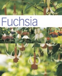 Fuchsia (Hamlyn Care Manual)