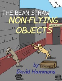 The Bean Straw: Non-Flying Objects