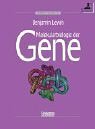 Molekularbiologie der Gene (German Edition)