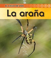 La arana / Spider (El Ciclo De Vida / Life Cycle of a. . .) (Spanish Edition)